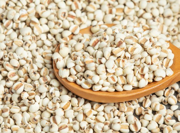 Oat porridge with oat plant.