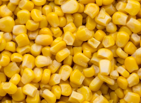 Oat porridge with oat plant.